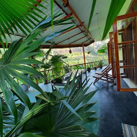 Serenity Homestay 엘라 외부 사진