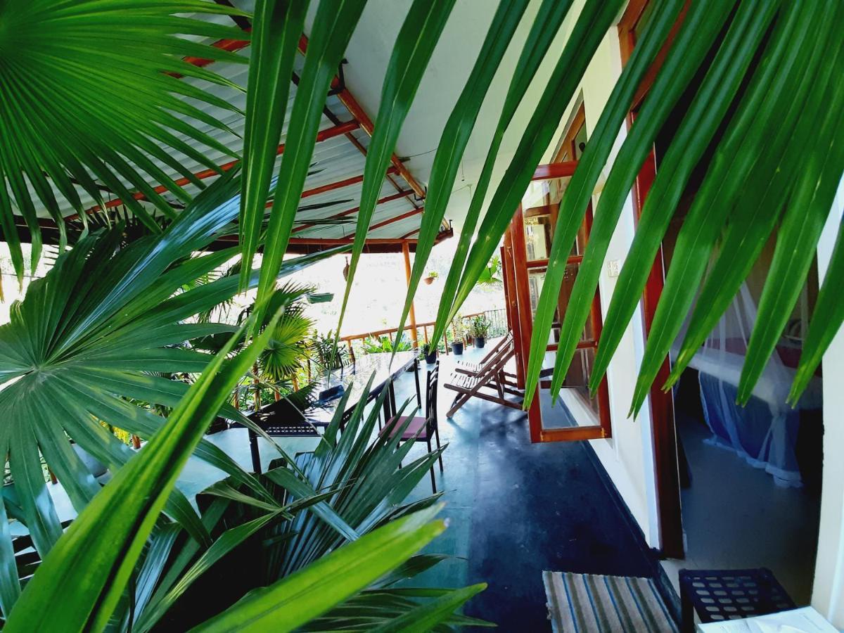 Serenity Homestay 엘라 외부 사진