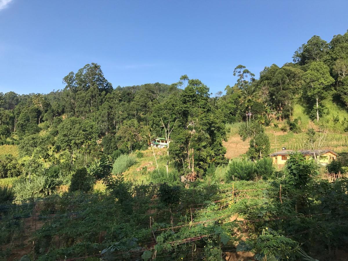 Serenity Homestay 엘라 외부 사진